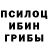Псилоцибиновые грибы ЛСД T Pick