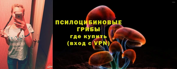 синтетический гашиш Богородицк