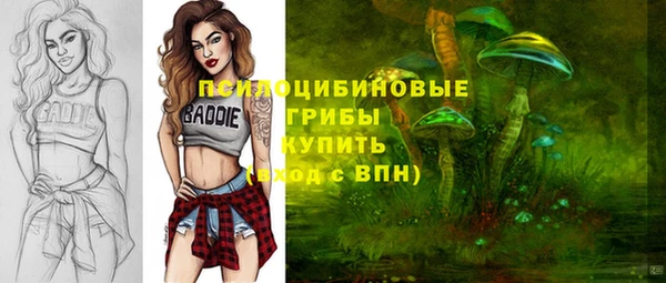синтетический гашиш Богородицк