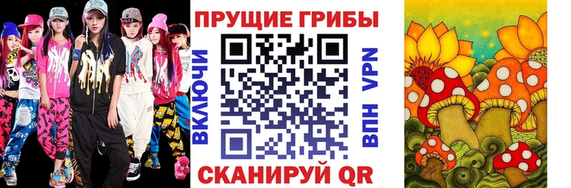 ОМГ ОМГ маркетплейс  Володарск  Галлюциногенные грибы Cubensis 